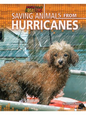 cover image of Saving Animals from Hurricanes